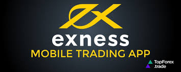 Discover the Benefits of Exness Forex Broker for Your Trading Journey Discover the Benefits of Exness Forex Broker for Your Trading Journey