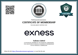 Discover the Benefits of Exness Forex Broker for Your Trading Journey Discover the Benefits of Exness Forex Broker for Your Trading Journey