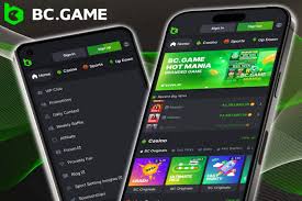 The Ultimate Guide to BC.Game Crypto Casino -906527278 The Ultimate Guide to BC.Game Crypto Casino -906527278